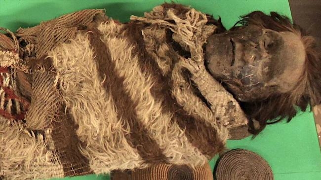 human dna found in lice on 2000 year old mummy 1