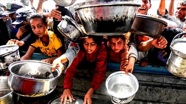 hundreds of thousands of gazans eat only one meal every 2 3 days