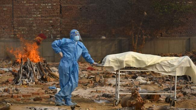 india corona death