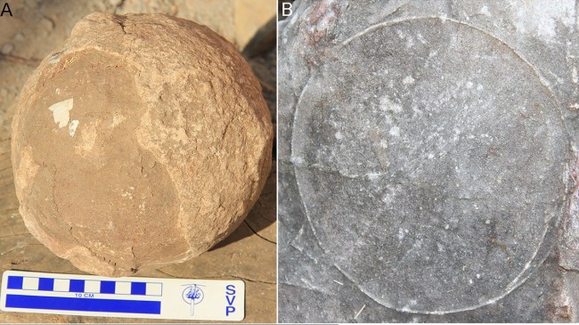 india titanosaur eggs