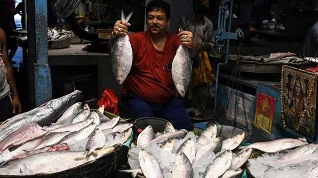 indian fish market