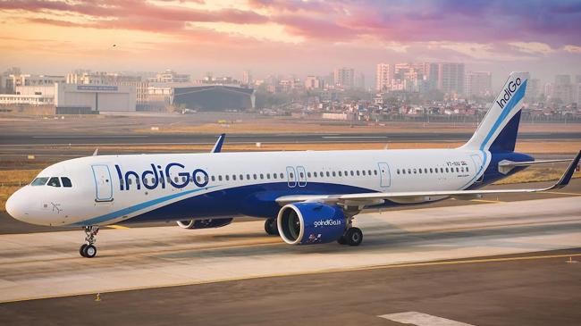 indigo aircraft