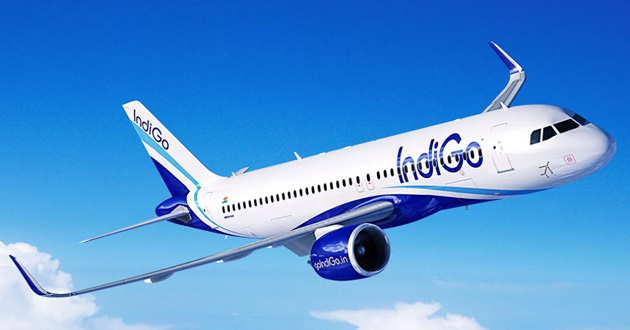 indigo airlines