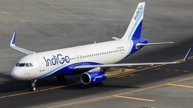 indigo flight 1