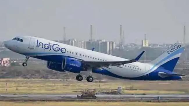 indigo flights