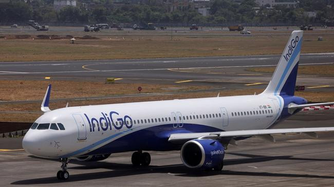 indigo