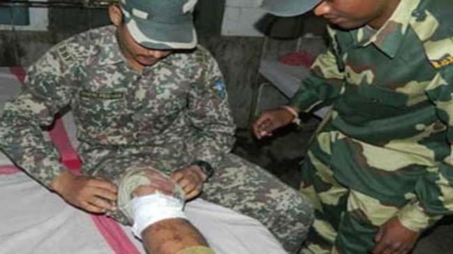 injured bsf