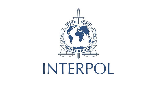 interpol logo