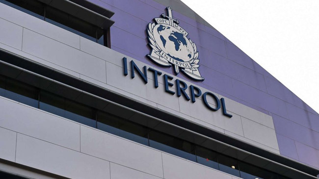 interpol office