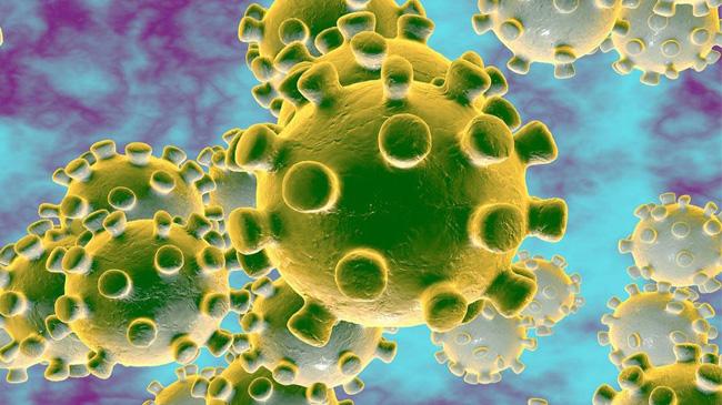 koronavirus us