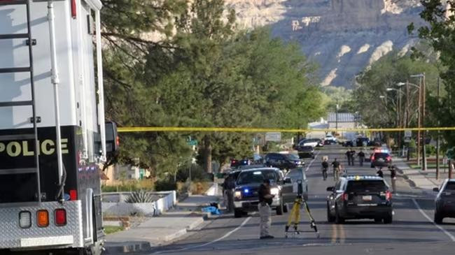 investigators work along a residential street 