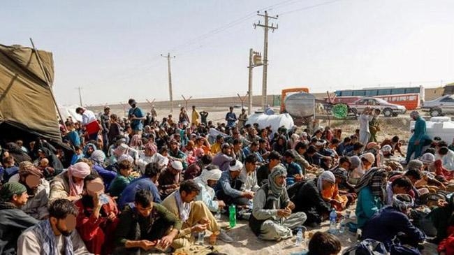 iran is sending afghans home