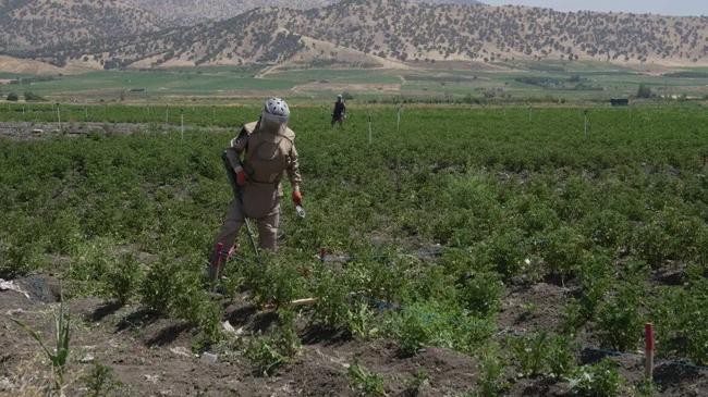 iraqi officials conduct mine clearance