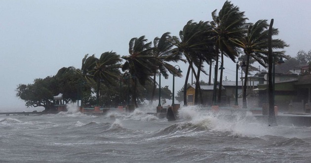 irma cyclone in florida