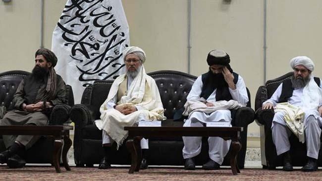 islamic emirate announces ban on poppy cultivation