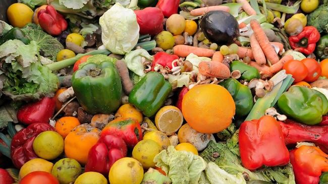 israel wasted food