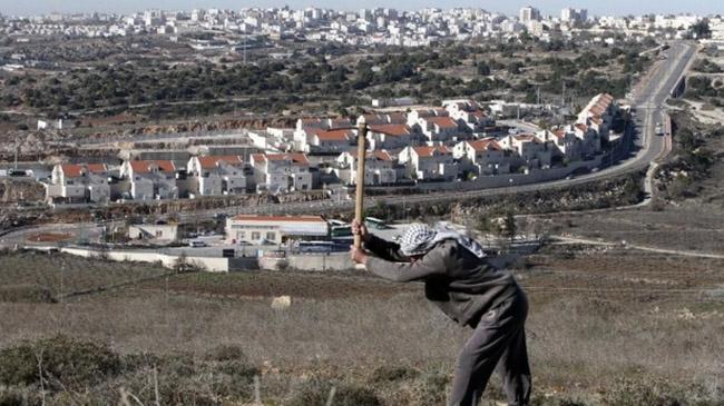 israeli settlement west bank