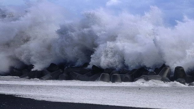japan typhoon