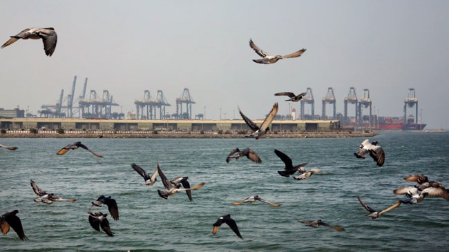 jeddah port soudi