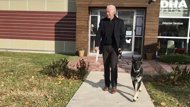 joe biden with dog home