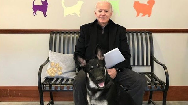 joe biden with dog