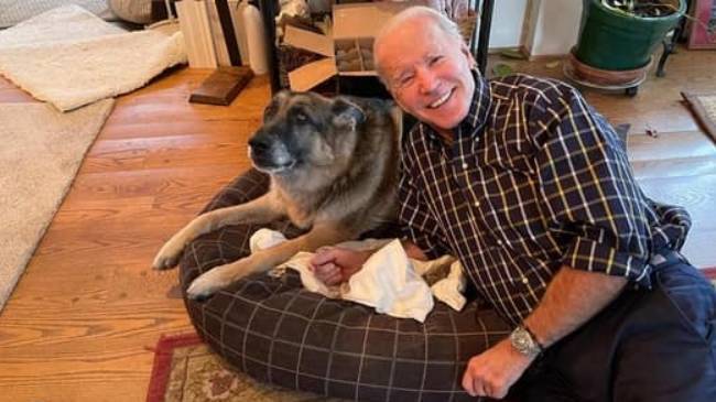 joe biden with his dog champ