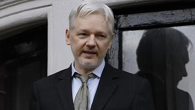 assange file