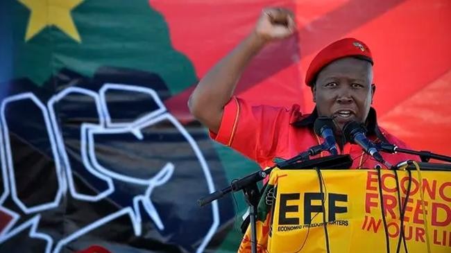 julius malema leader of eff