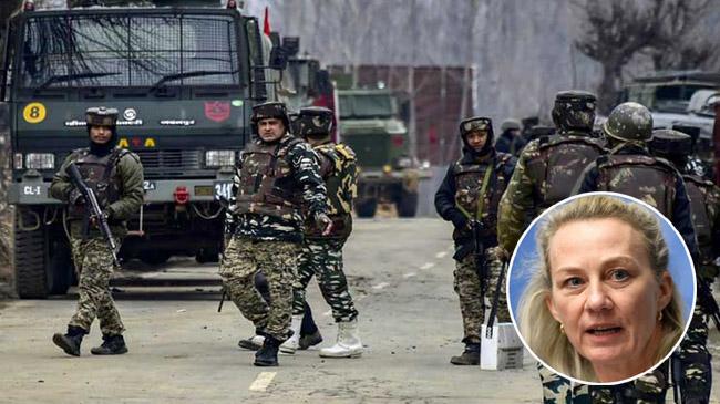 kashmir alice wells
