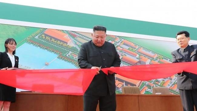 kim jong un 6 5 2020