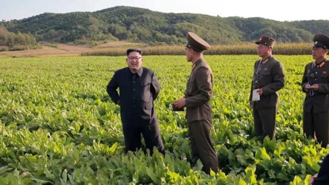 kim jong un in field