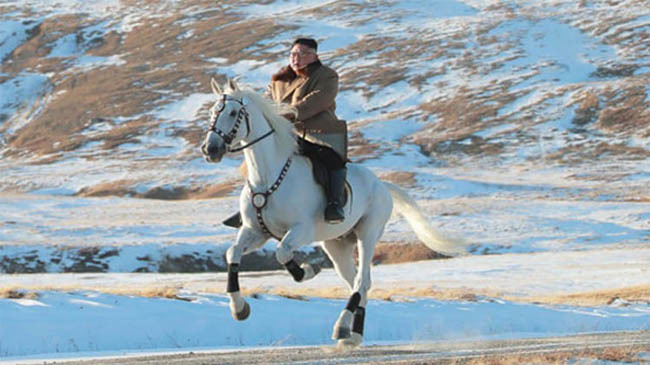 kim on horse korea
