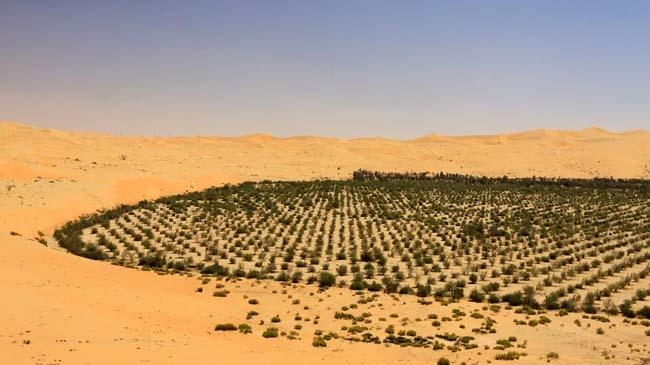 ksa plant 1