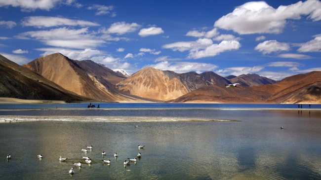 ladakh pangong lake