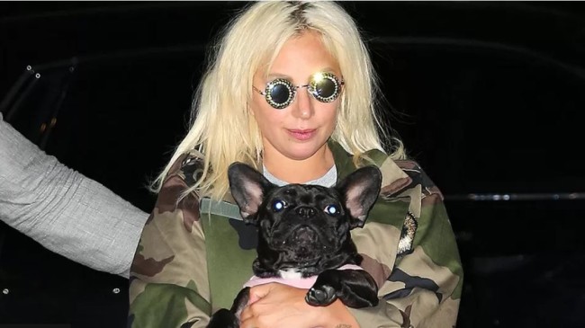 lady gaga