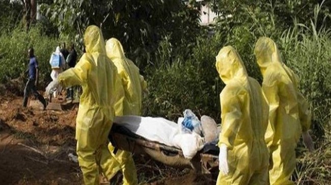lassa fever in naigeria 2