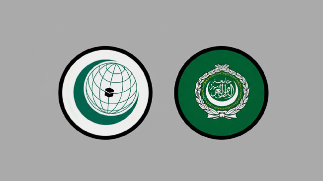 ইসরায়েলের সীমানা বিস্তার নিয়ে মার্কিন রাষ্ট্রদূতের মন্তব্যে ওআইসি ও আরব লিগের তীব্র নিন্দা