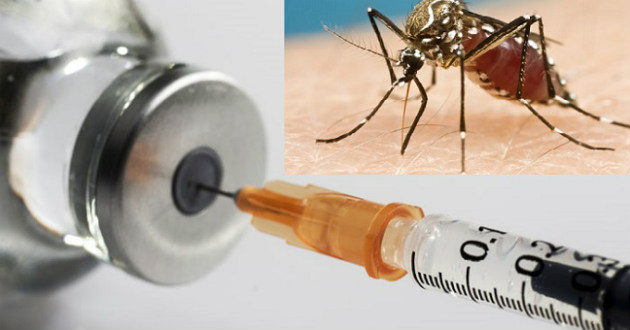 malaria vaccine test