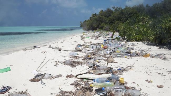 maldives registers maximum levels of microplastics on the planet