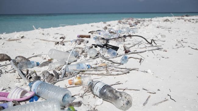 maldives registers maximum levels of microplastics on the planet 1