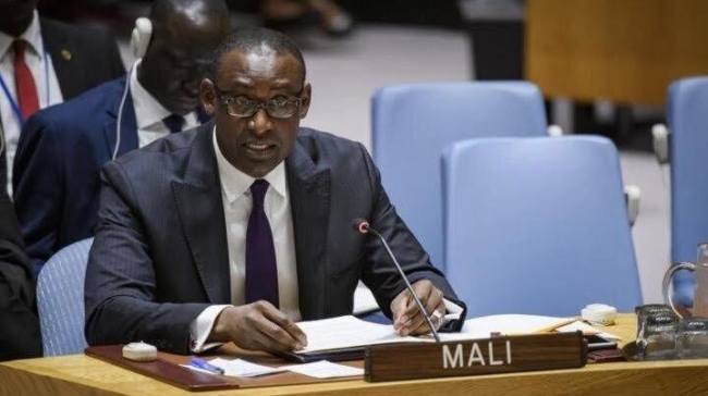 mali foreign minister abdoulaye diop