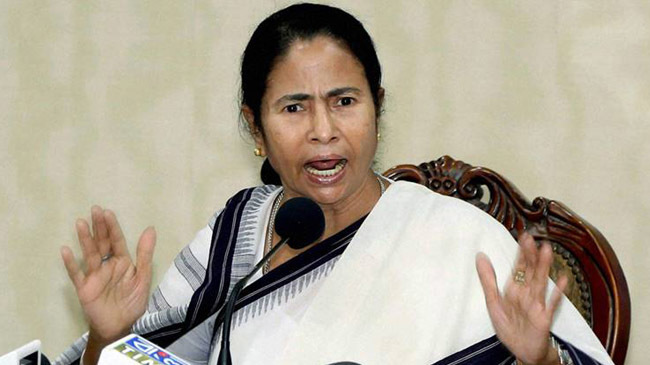 mamata banerjee india 03