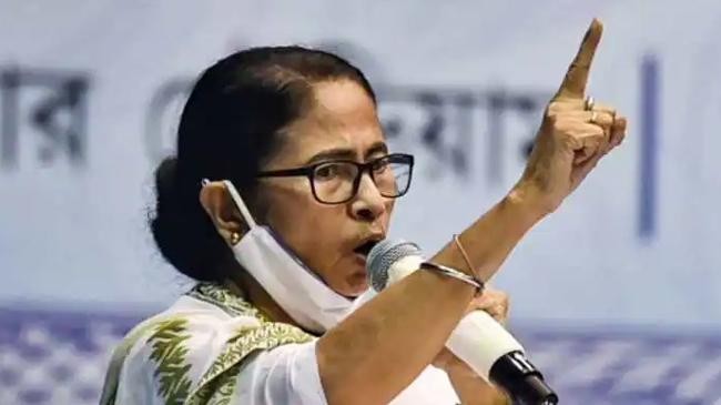 mamata 2