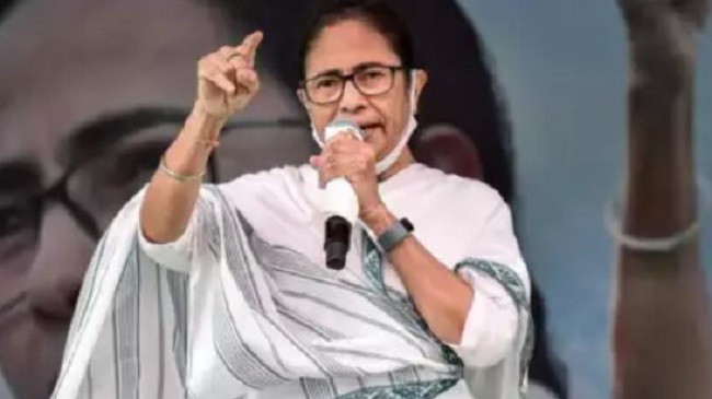 mamata 3