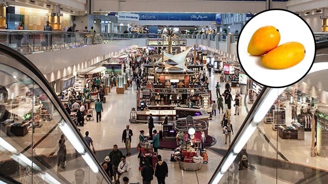 mango airport