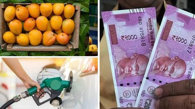 mango oil buy by 2000 note
