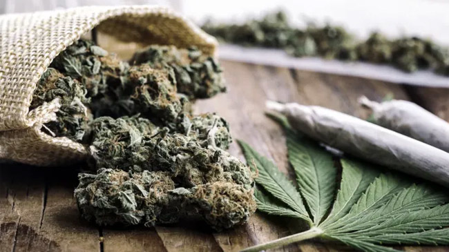 marijuana 1