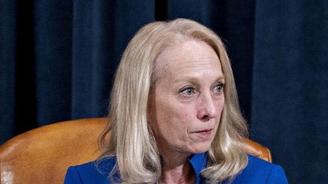 mary gay scanlon us congress