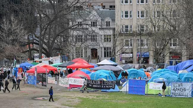 mcgill university