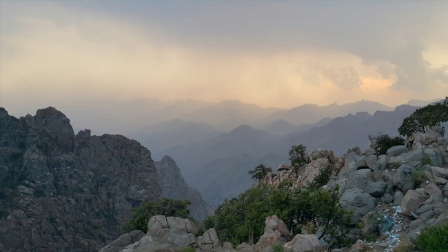 mecca mountains turn lush green following heavy rainfall in saudi arabia